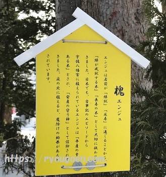 西野神社の槐の木